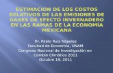 Dr. Pablo  Ruiz  Nápoles Facultad de Economía, UNAM Congreso  Nacional de Investigación en