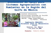 Decisiones de Apoyo para Sistemas Agropecuarios con Rumiantes en la Región del Golfo de México