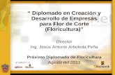 “ Diplomado en Creación y Desarrollo de Empresas para Flor de Corte (Floricultura)” Director