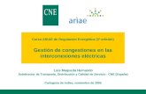 Luis Maqueda Hernando Subdirector de Transporte, Distribución y Calidad de Servicio - CNE (España)