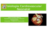Fisiología Cardiovascular Neonatal