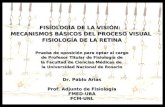 FISIOLOGÍA DE LA VISIÓN:   MECANISMOS BÁSICOS DEL PROCESO VISUAL
