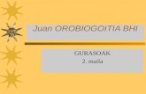 Juan  OROBIOGOITIA BHI
