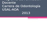 Programa de Formación Docente Carrera de Odontología USAL-AOA                    2013