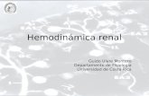 Hemodinámica renal