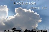 Creación vs. Evolución