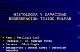 HISTOLOGIA Y CAPACIDAD REGERERACION TEJIDO PULPAR
