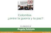 Colombia   ¿entre la guerra y la paz?