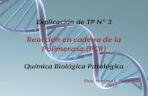 Explicación de TP Nº 3 Reacción en cadena de la Polimerasa (PCR) Química Biológica Patológica