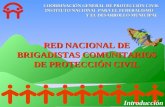 RED NACIONAL DE BRIGADISTAS COMUNITARIOS DE PROTECCIÓN CIVIL