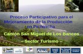 Proceso Participativo para el Mejoramiento de la Producción      en Pichincha