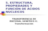 5. ESTRUCTURA, PROPIEDADES Y FUNCIÓN DE ÁCIDOS NUCLEICOS