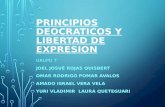 PRINCIPIOS DEOCRATICOS Y LIBERTAD DE EXPRESION