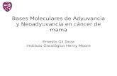 Bases Moleculares de Adyuvancia y Neoadyuvancia en cáncer de mama