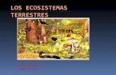 Los ecosistemas terrestres
