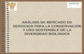 ANÁLISIS DE MERCADO DE SERVICIOS PARA LA CONSERVACIÓN Y USO SOSTENIBLE DE LA DIVERSIDAD BIOLÓGICA