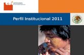 Perfil Institucional  2011