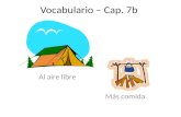 Vocabulario  – Cap. 7b