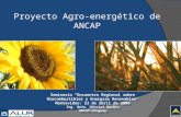 Proyecto Agro-energético de ANCAP