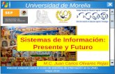 Sistemas de Informaci³n: Presente y Futuro