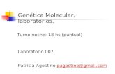 Genética Molecular, laboratorios. Laboratorio 007 Patricia Agostino  pagostino@gmail
