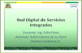 Red Digital de Servicios Integrados