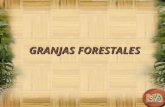 GRANJAS FORESTALES