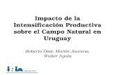 Impacto de la Intensificación Productiva sobre el Campo Natural en Uruguay