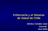 Enfermería y el Sistema de Salud de Chile