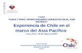 Intercambio Comercial Chile Perú  (millones USD)
