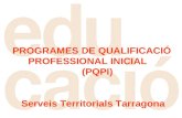 PROGRAMES DE QUALIFICACIÓ        PROFESSIONAL INICIAL              (PQPI)