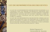 LEY DE RENDIMIENTOS DECRECIENTES