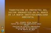 TRAMITACIÓN DE PROYECTOS DEL SECTOR ENERGÉTICO EN EL MARCO DE LA NUEVA INSTITUCIONALIDAD AMBIENTAL