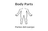 Body P arts