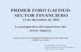 PRIMER FORO GAFISUD-SECTOR FINANCIERO 13 de diciembre de 2002