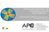 PROGRAMA REGIONAL DE COOPERACION CON MESOAMERICA –  COMPONENTE PROMOCION SOCIAL
