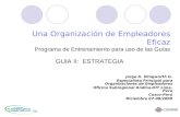 Una Organización de Empleadores Eficaz Programa de Entrenamiento para uso de las Guías