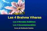 Las 4 Brahma Viharas