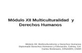 Módulo XII Multiculturalidad  y Derechos Humanos