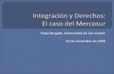 Integración y Derechos:  El caso del Mercosur