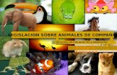 CIM Formación: Legislación sobre animales de compañía