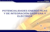 POTENCIALIDADES ENERGÉTICAS Y DE INTEGRACIÓN GASÍFERA Y ELÉCTRICA