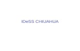 IDeSS CHIUAHUA