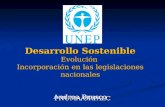 Desarrollo Sostenible Evolución  Incorporación en las legislaciones nacionales Andrea Brusco
