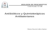 Antibióticos y Quimioterápicos Antibaterianos