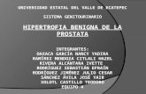 Anatomía de la Próstata