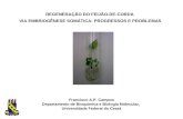 Francisco A.P. Campos Departamento de Bioquímica e Biologia Molecular,