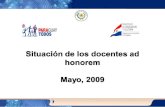 Situación de los docentes ad honorem Mayo, 2009