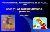 CAP. VI:  El Trabajo humano  (Parte B) (295 - 322)