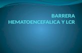 BARRERA HEMATOENCEFALICA Y LCR